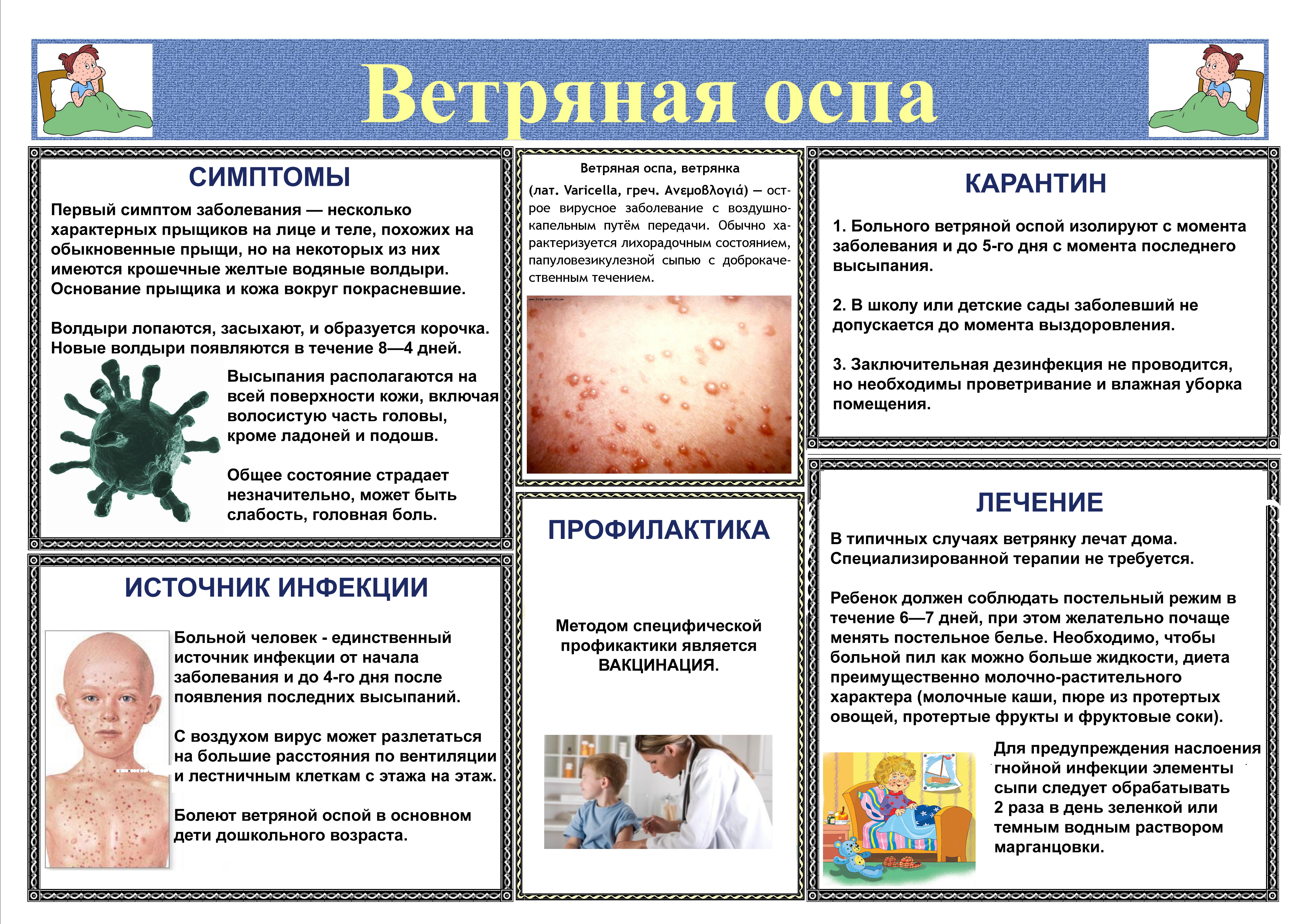 Ветряная оспа и меры её профилактики.