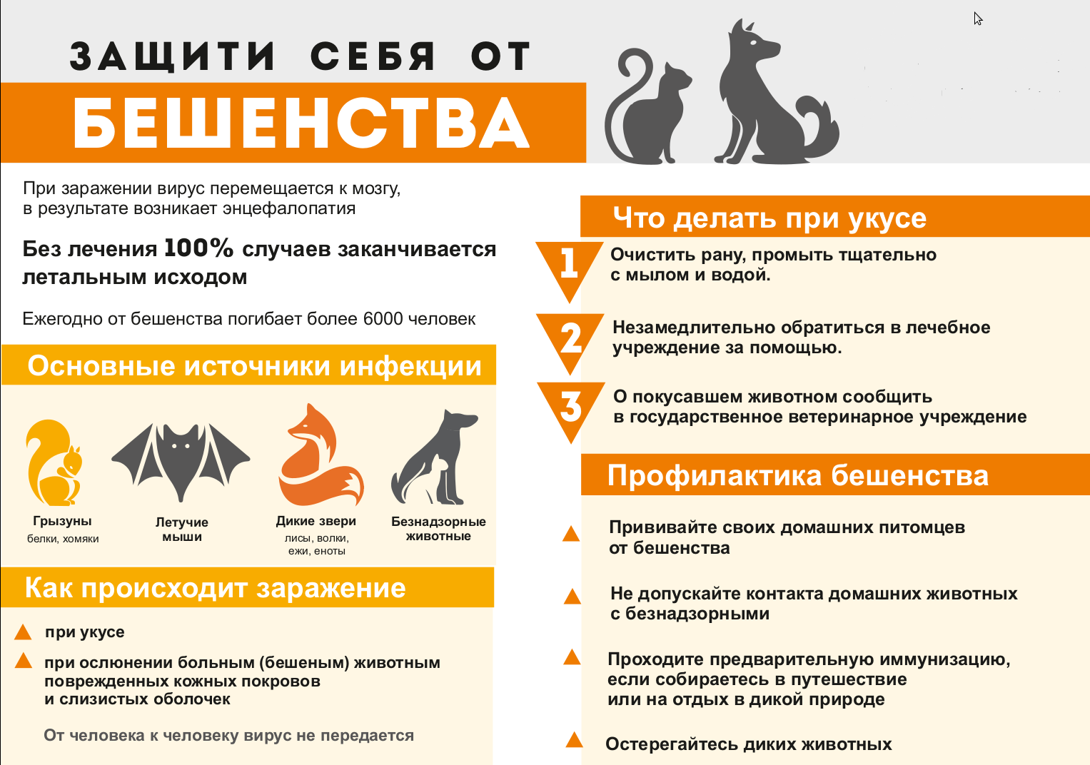 Памятка: &quot;Защити себя от бешенства&quot;.