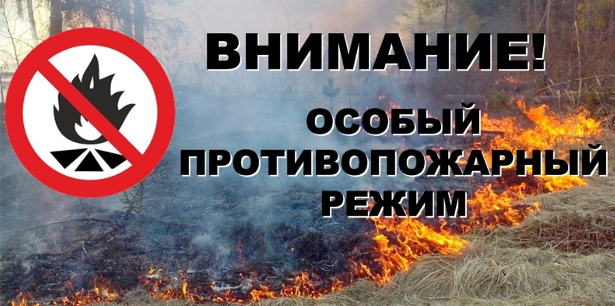Уважаемые жители муниципального образования Шахтерский муниципальный округ Донецкой Народной Республики!.