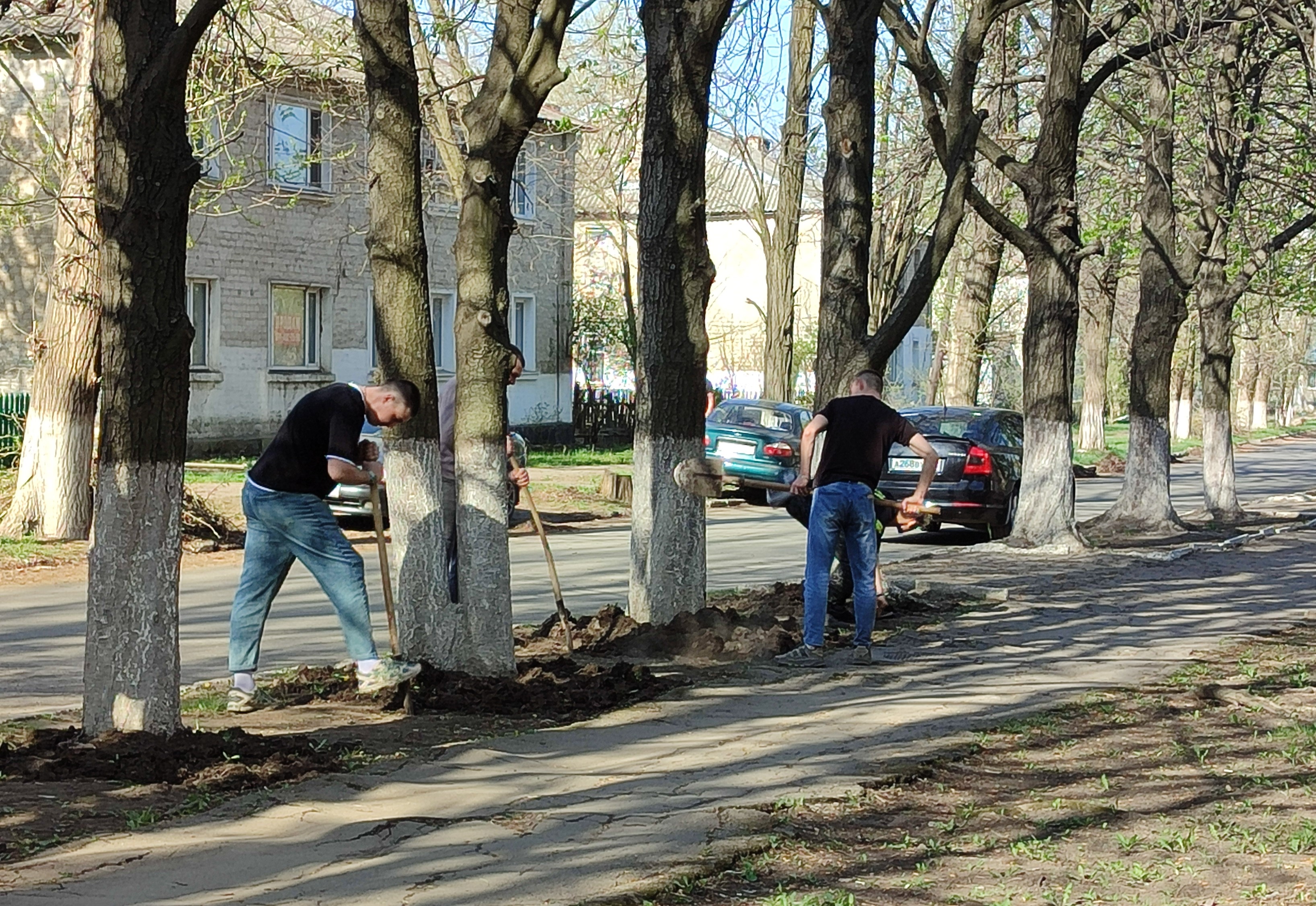 Всероссийский субботник.