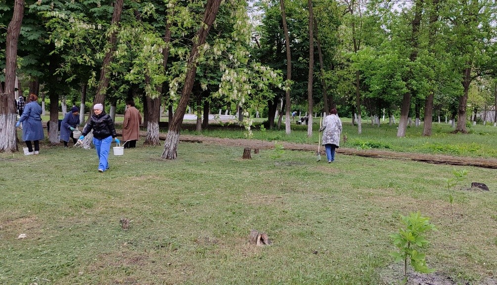 Работа по благоустройству и наведению санитарного порядка.