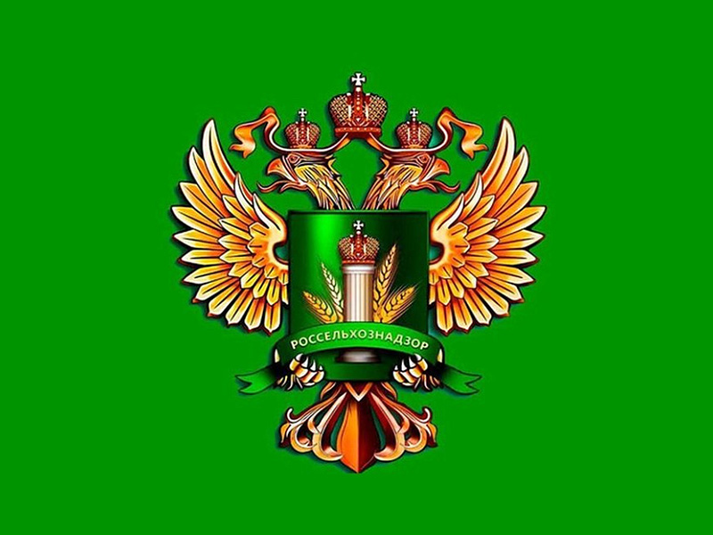 Россельхознадзор изъял тушёнку из оборота: найден несоответствующий состав и антибиотик.