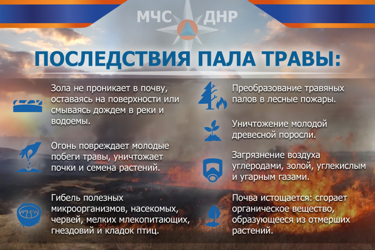 Памятка "Последствия пала травы". Памятка "Последствия пала травы".