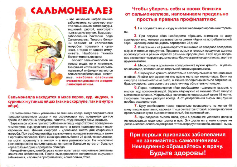 Памятка о профилаткие гриппа, сальмонеллёза. Памятка о профилаткие гриппа, сальмонеллёза.