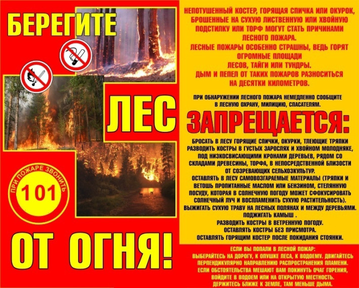 Памятка о соблюдении правил пожарной безопасности в лесу: "Берегите лес от огня!". Памятка о соблюдении правил пожарной безопасности в лесу: "Берегите лес от огня!".