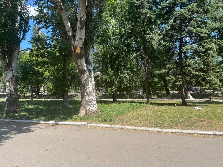 Рейд проверка по благоустройству прилегающих территорий предприятий торговли. Рейд проверка по благоустройству прилегающих территорий предприятий торговли.